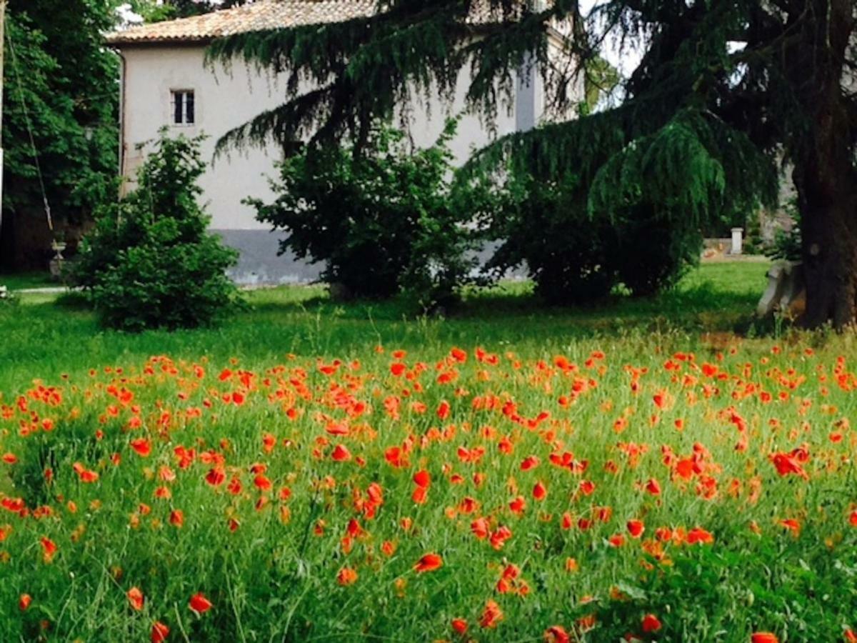 Appartamenti Lais In Sipicciano Εξωτερικό φωτογραφία